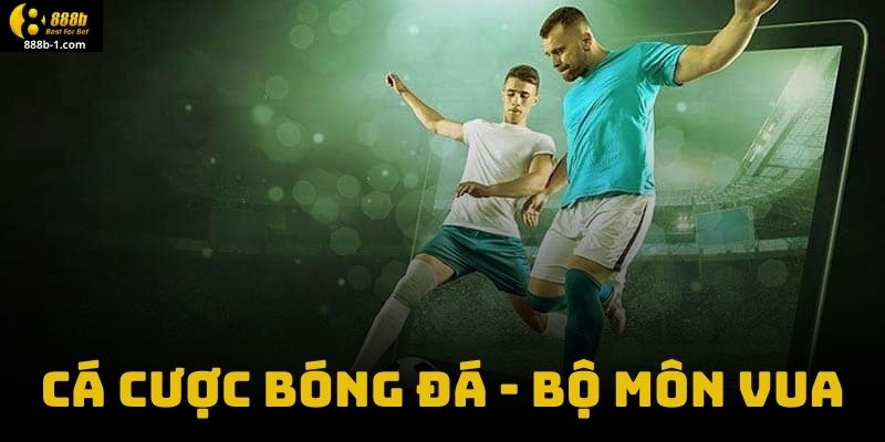 Cá Cược Bóng Đá - Bộ Môn Vua