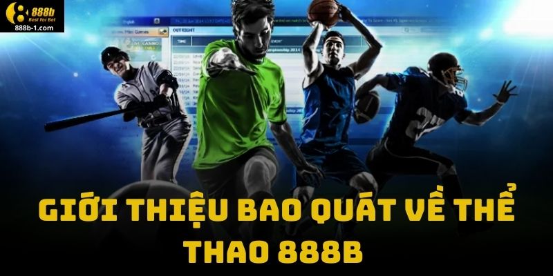 Giới Thiệu Bao Quát Về Thể Thao 888B 