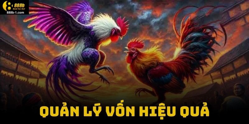 Quản Lý Vốn Hiệu Quả