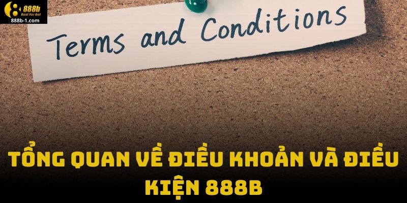 Tổng Quan Về Điều Khoản Và Điều Kiện 888B